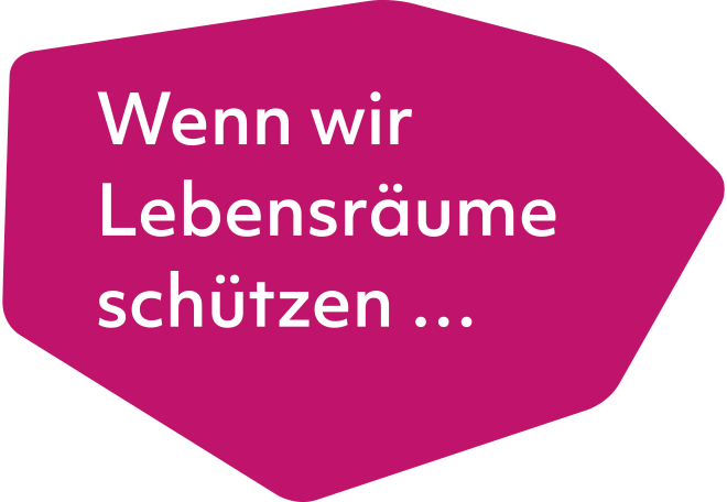 Violette Wabe mit der Aufschrift
