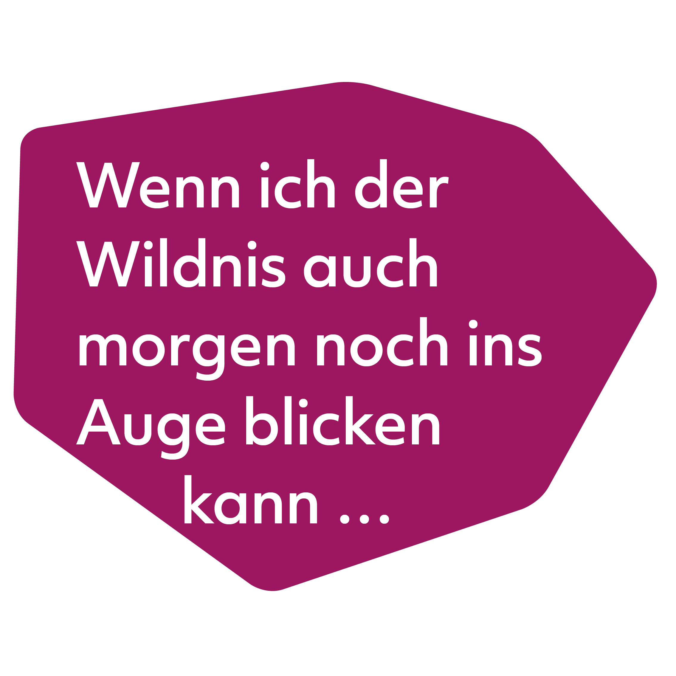 Wenn ich der Wildnis auch morgen noch ins Auge blicken kann...