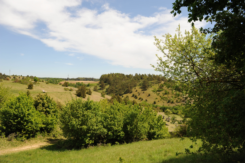 Ausblick auf prachtvolle Wiesenhänge und Wachholderheiden im Hessental, z.T. verbuscht.