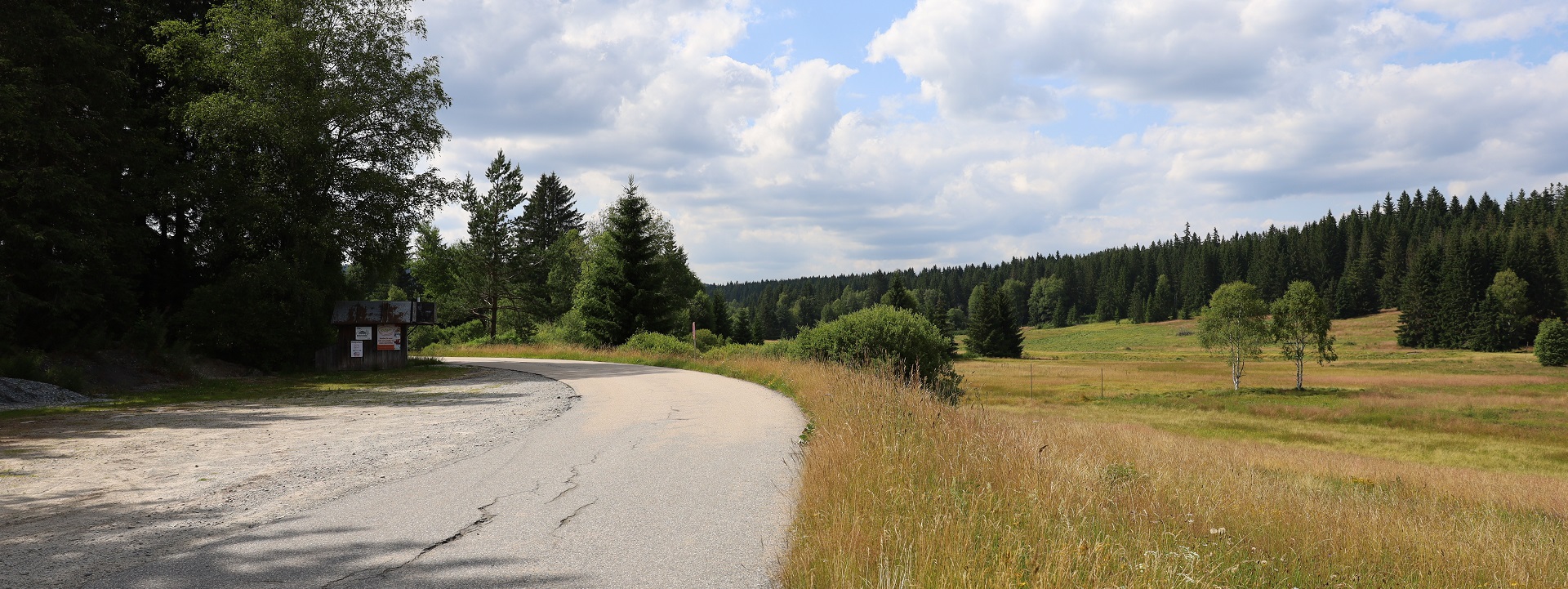 Eine Straße biegt um eine Linkskurve, rechts sieht man eine weite Wiese und im Hintergrund Wald.