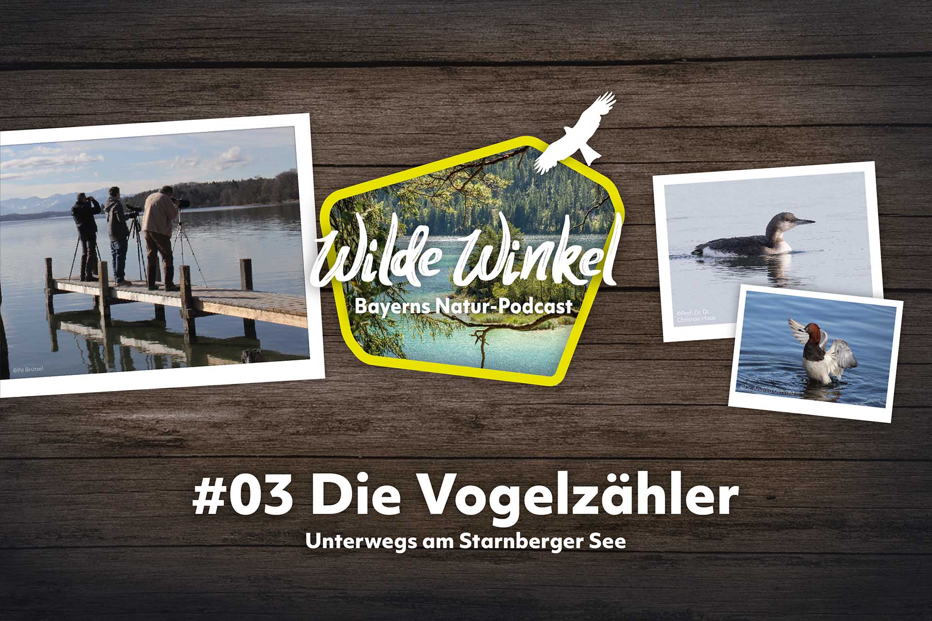 Podcast-Cover: Wilde Winkel - Folge 3