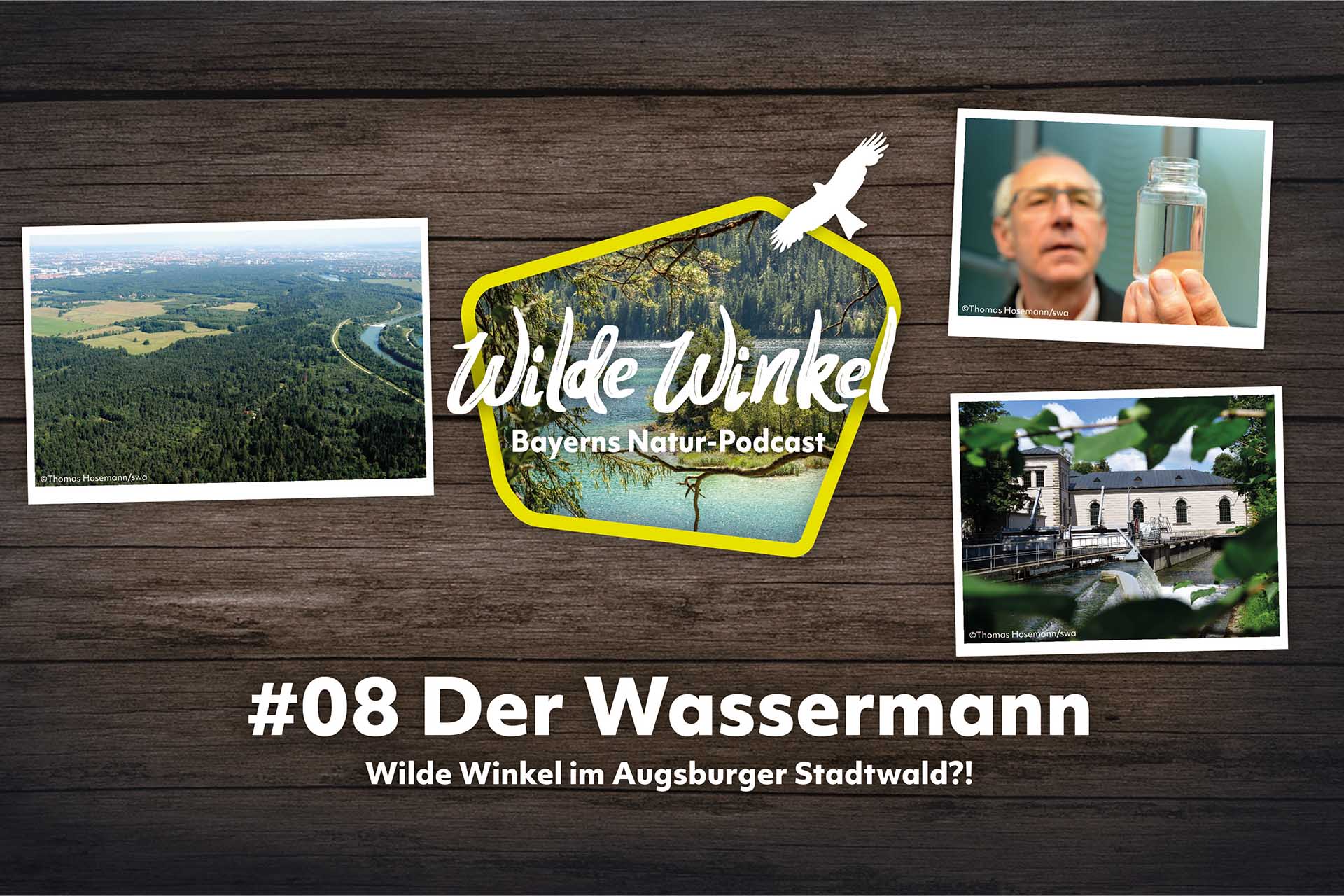 Podcast-Cover: Wilde Winkel - Folge 8