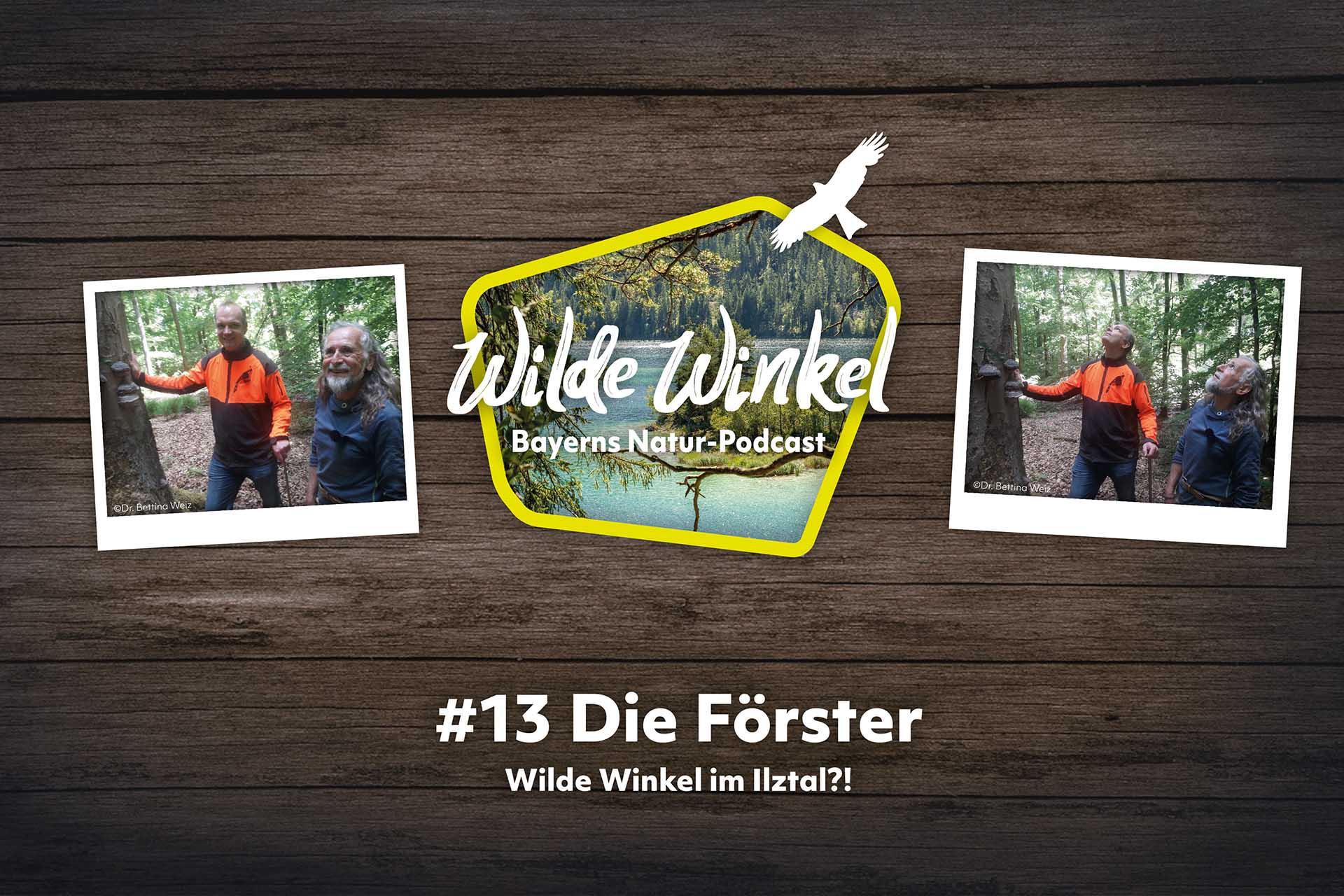 Podcast-Cover: Wilde Winkel - Folge 13