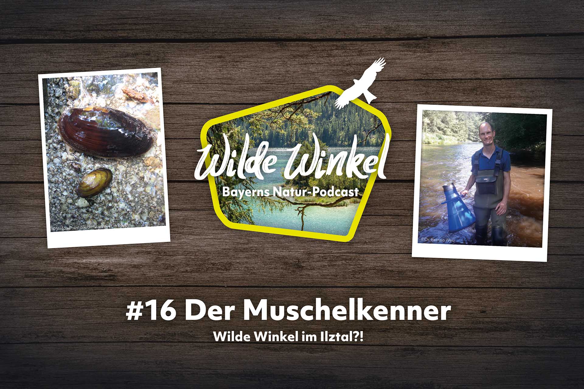 Podcast-Cover: Wilde Winkel - Folge 16