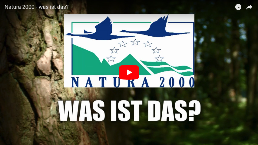 Youtube. Natura 2000 (DE)