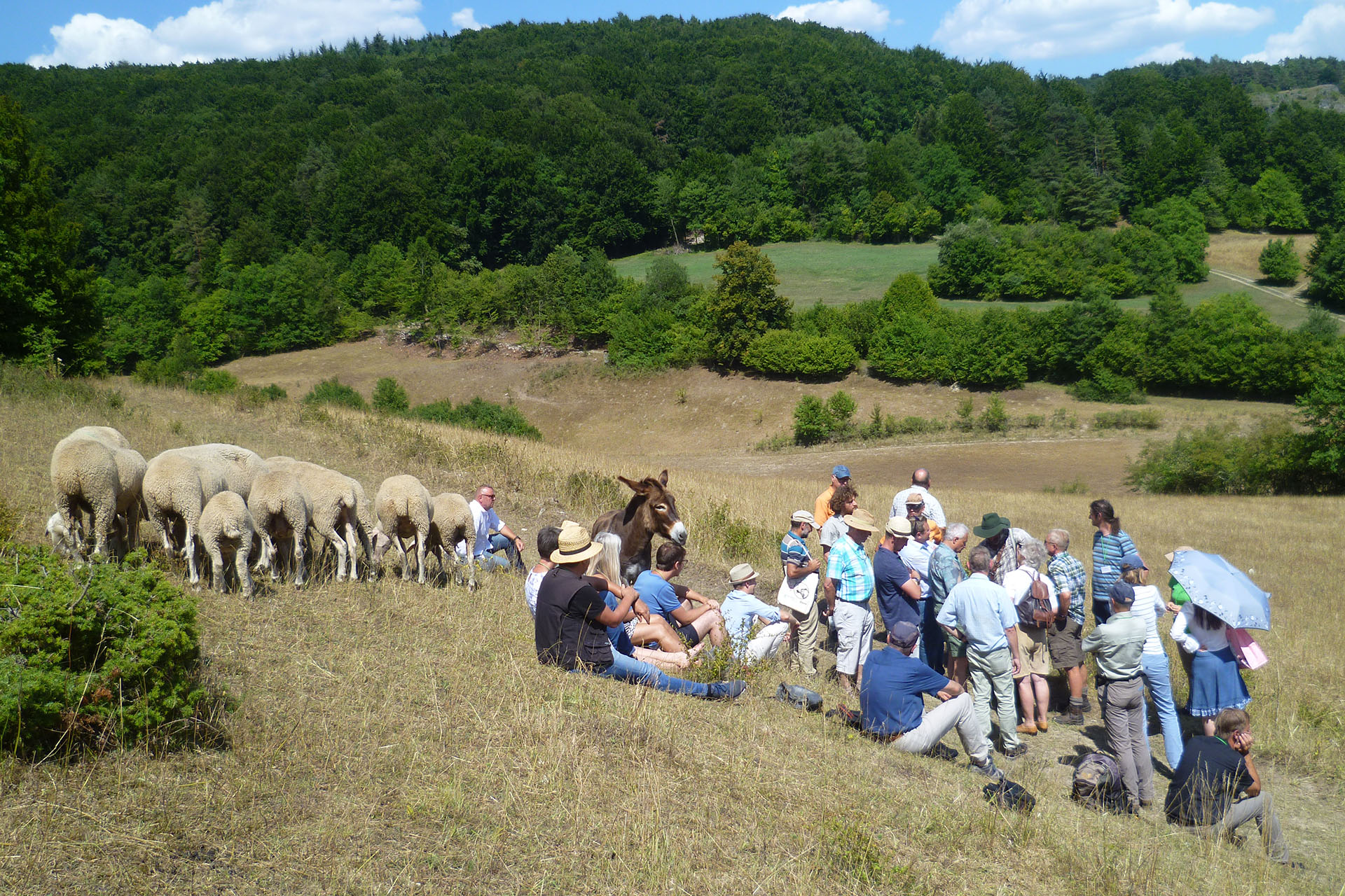 Natura 2000-Maßnahme