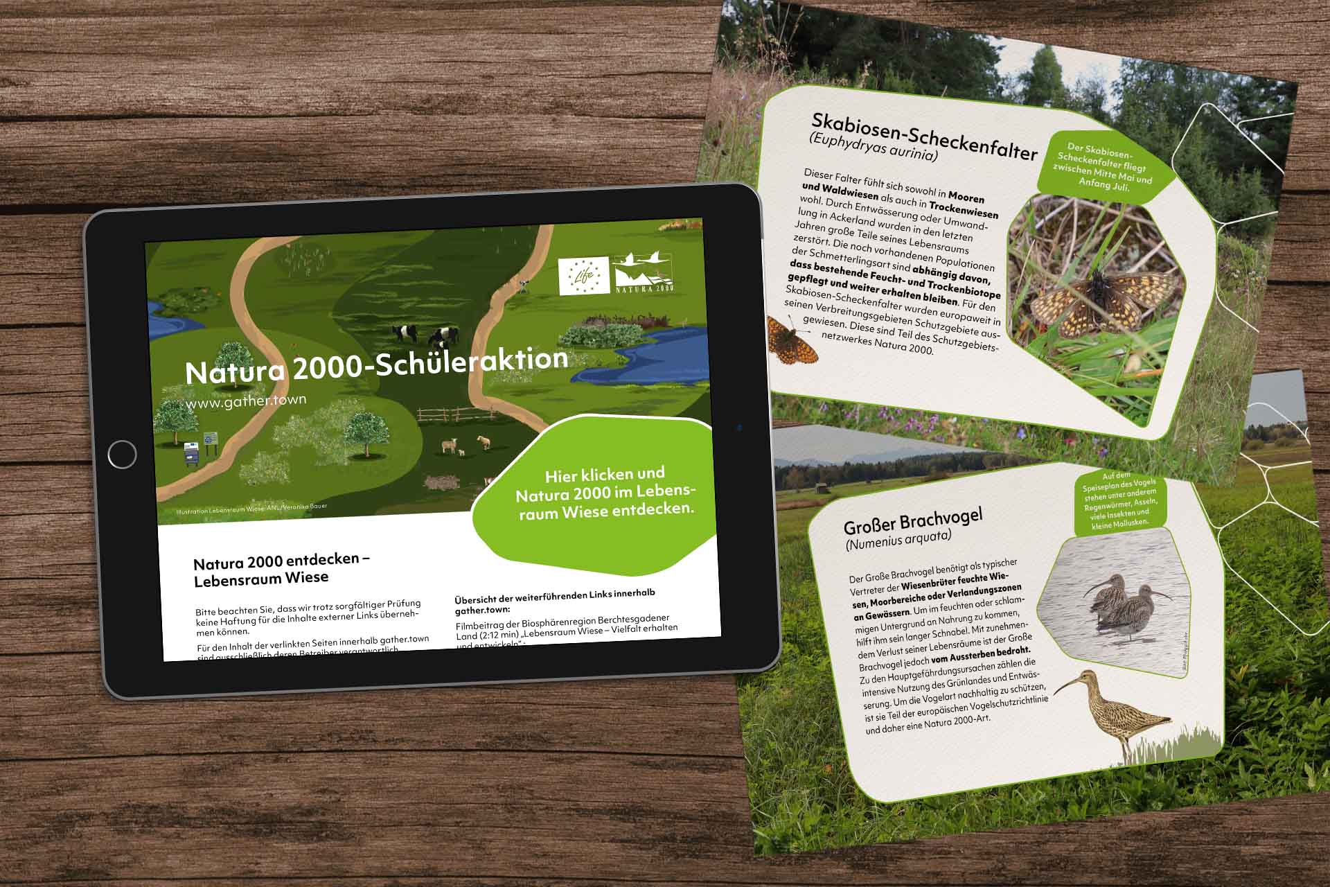 Digitaler Werkzeugkasten – Lebensraum Wiese