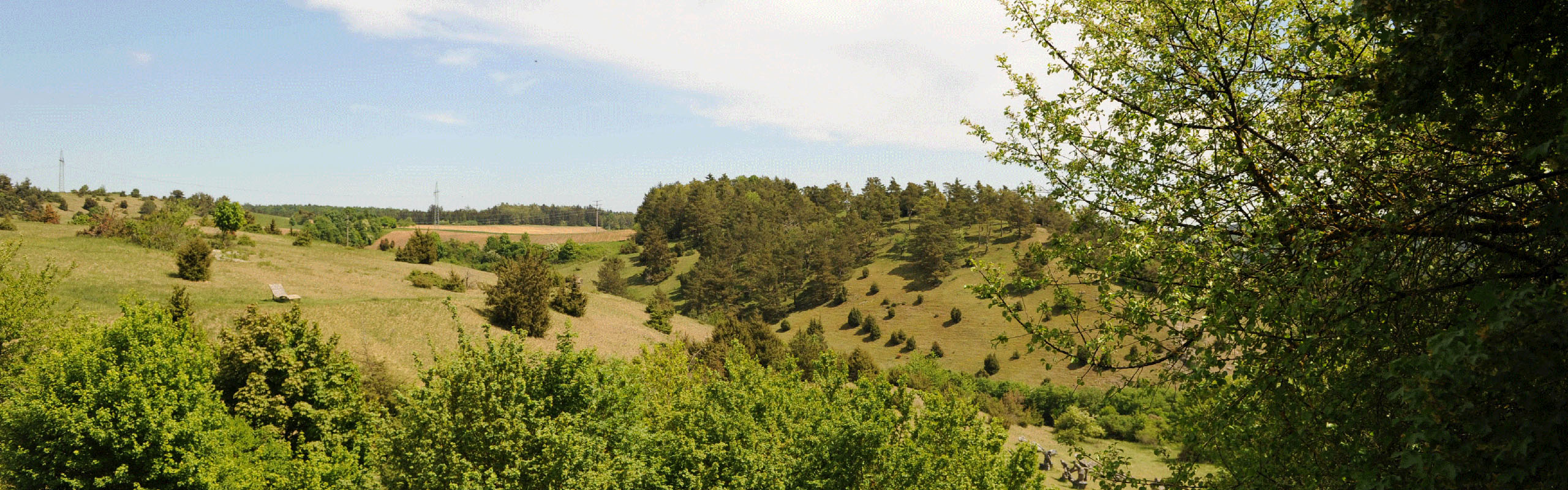 Bild eines grünen Landschaft