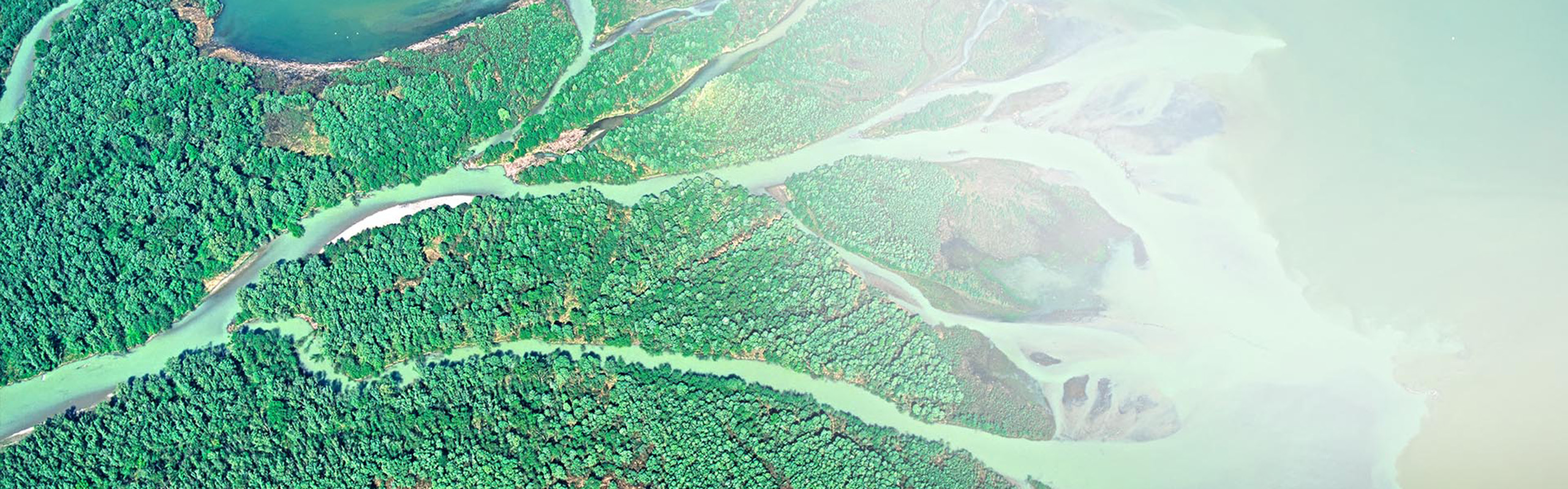 Fluss-Delta von Bernhard Edmaier