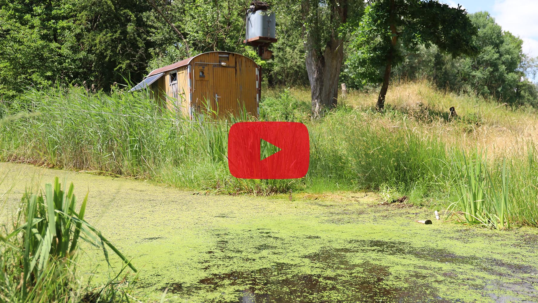 Natura 2000-BayernOskar – Langjähriger Einsatz für die Kiesgrube Heldenstein bei Mühldorf