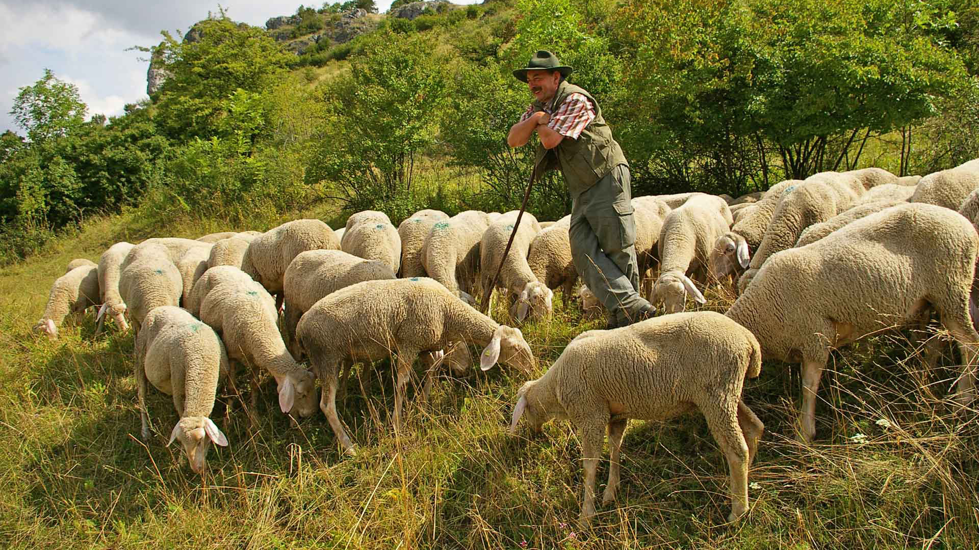Jura Lamm - Qualität aus der Fränkischen Schweiz