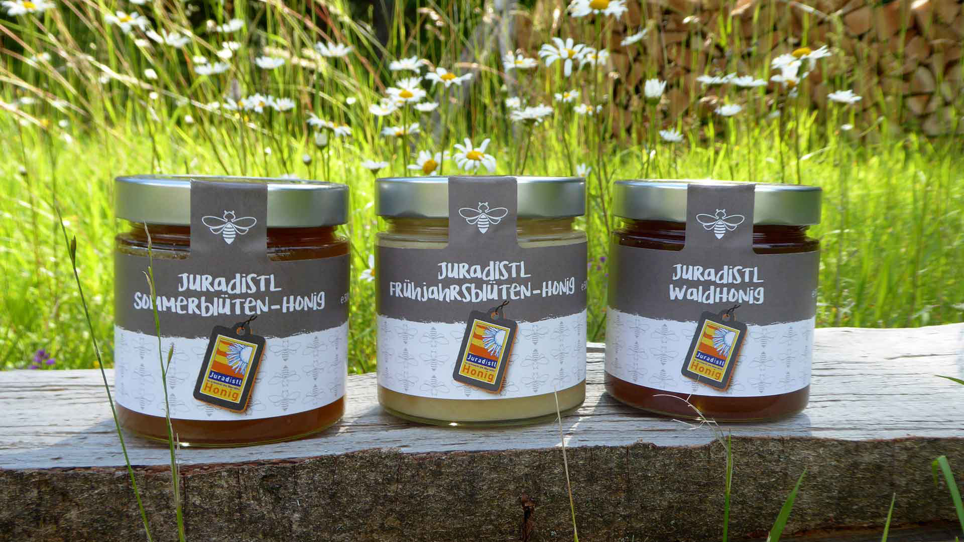 Juradistl – Biologische Vielfalt