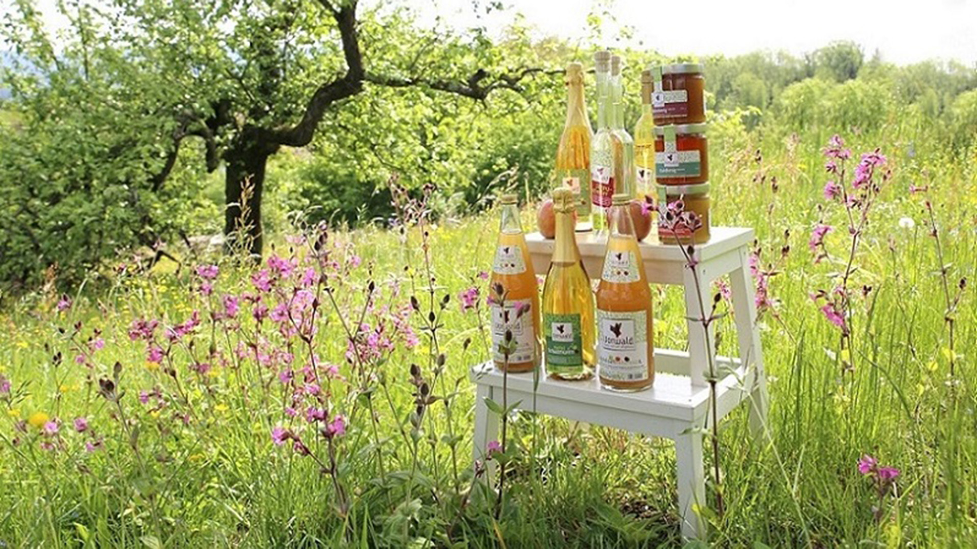 Netzwerk Streuobst Bayerischer Vorwald