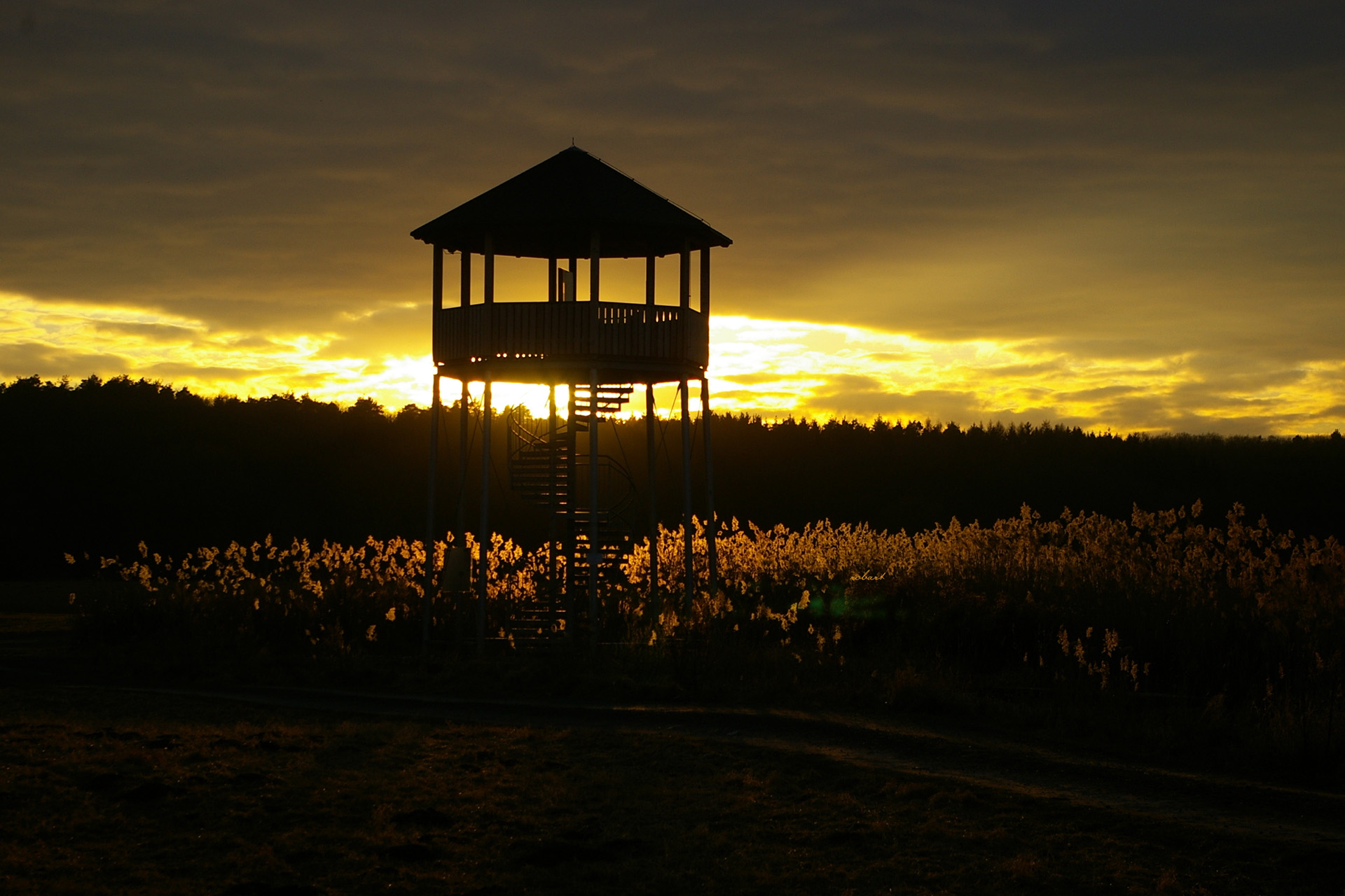 Abendstimmung mit Schilf am Turm