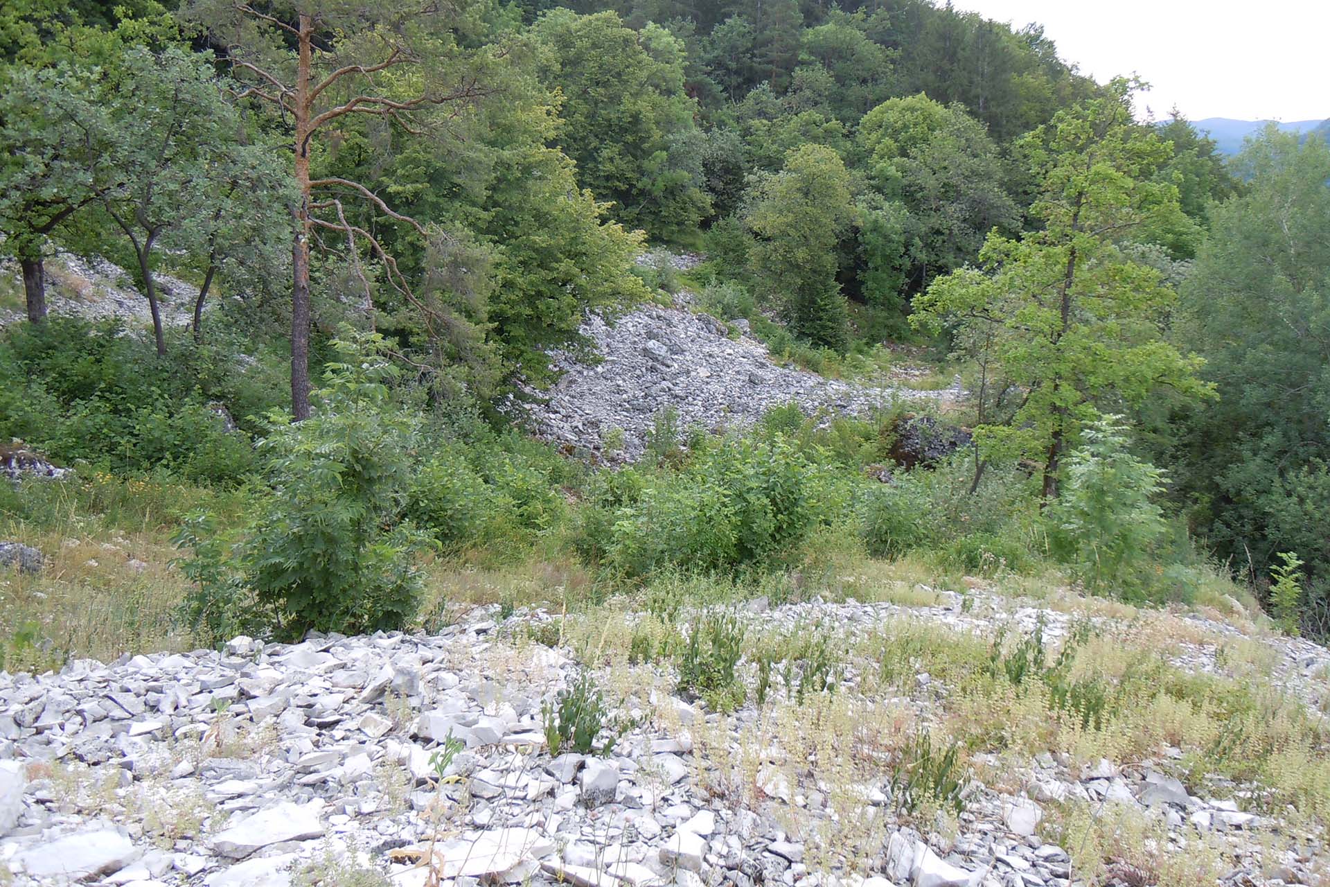 Großflächige Kalkschotterfluren unterhalb der Dolomitfelsen