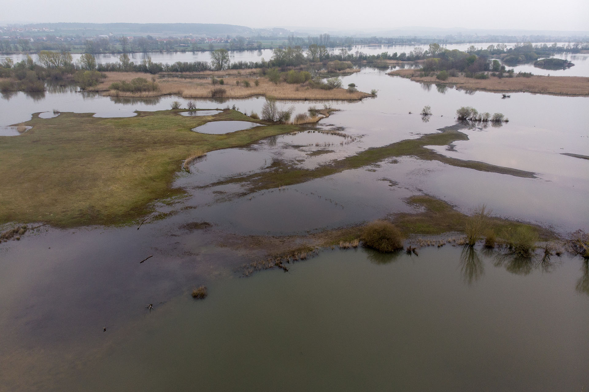 Flachwasser- und Inselzone im Altmühlsee