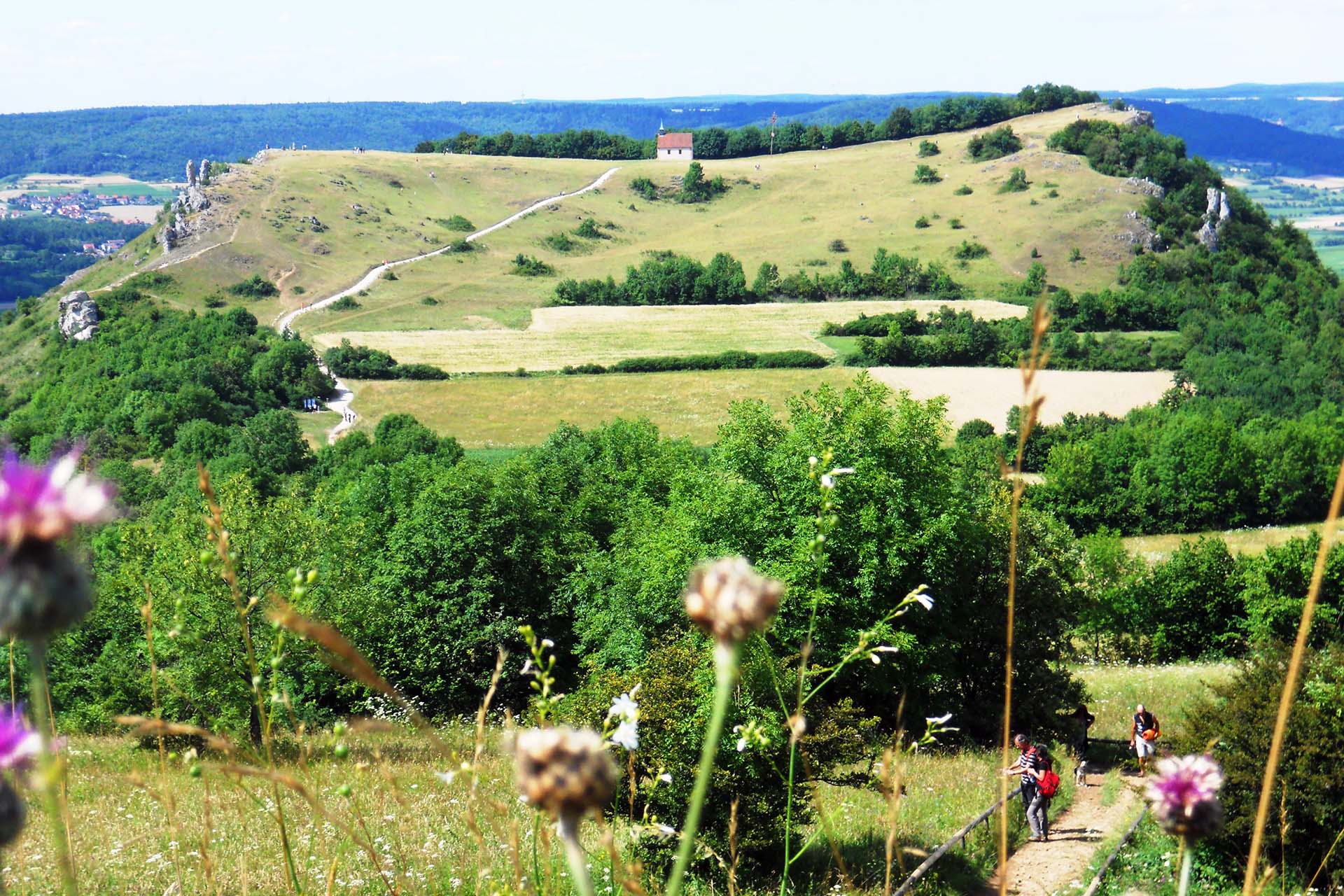 Ehrenbürg und Katzenköpfe