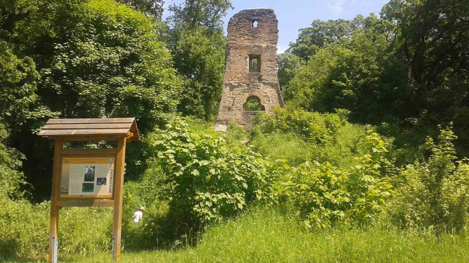 Ruine Speckfeld