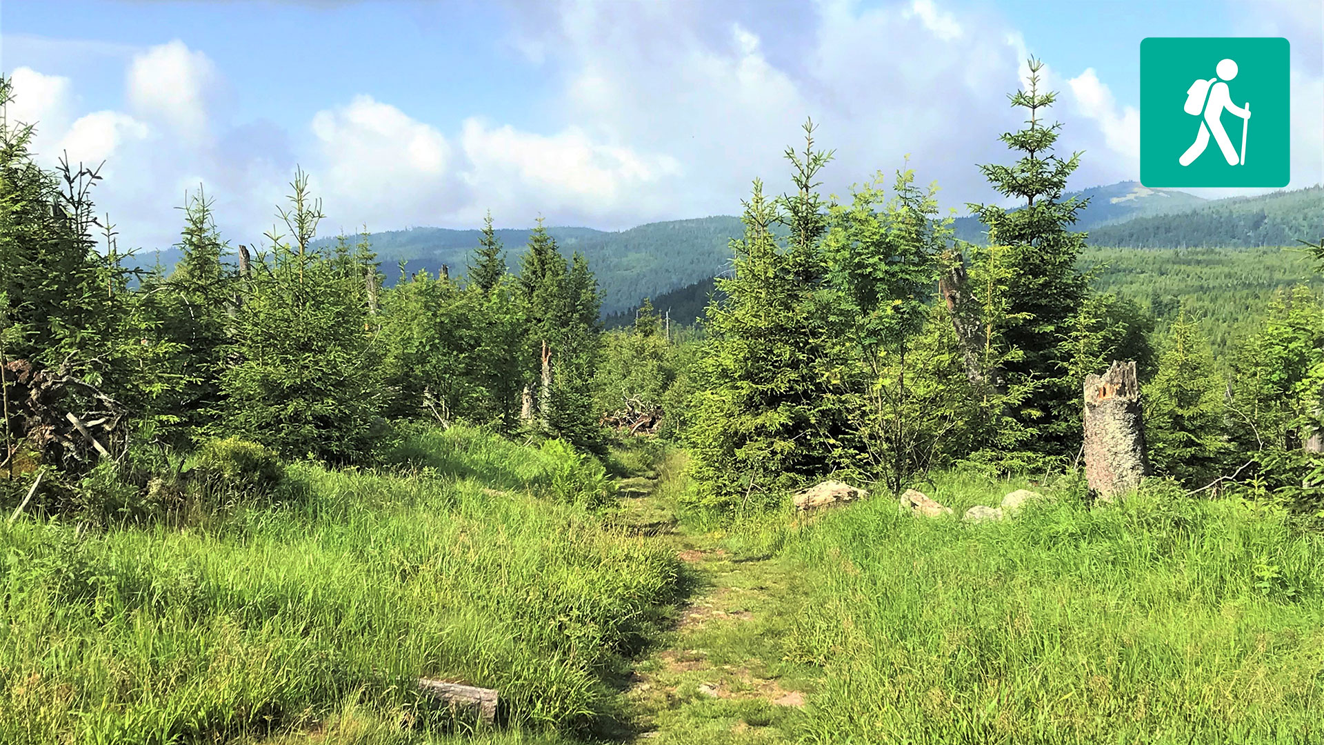 Auf den Siebensteinkopf und zur Moldauquelle