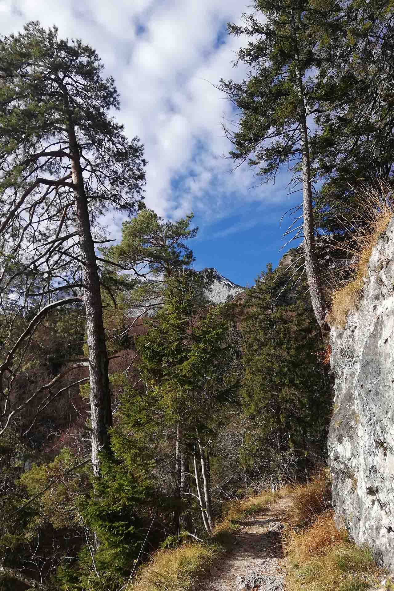Weg zur Toni Lenz Hütte