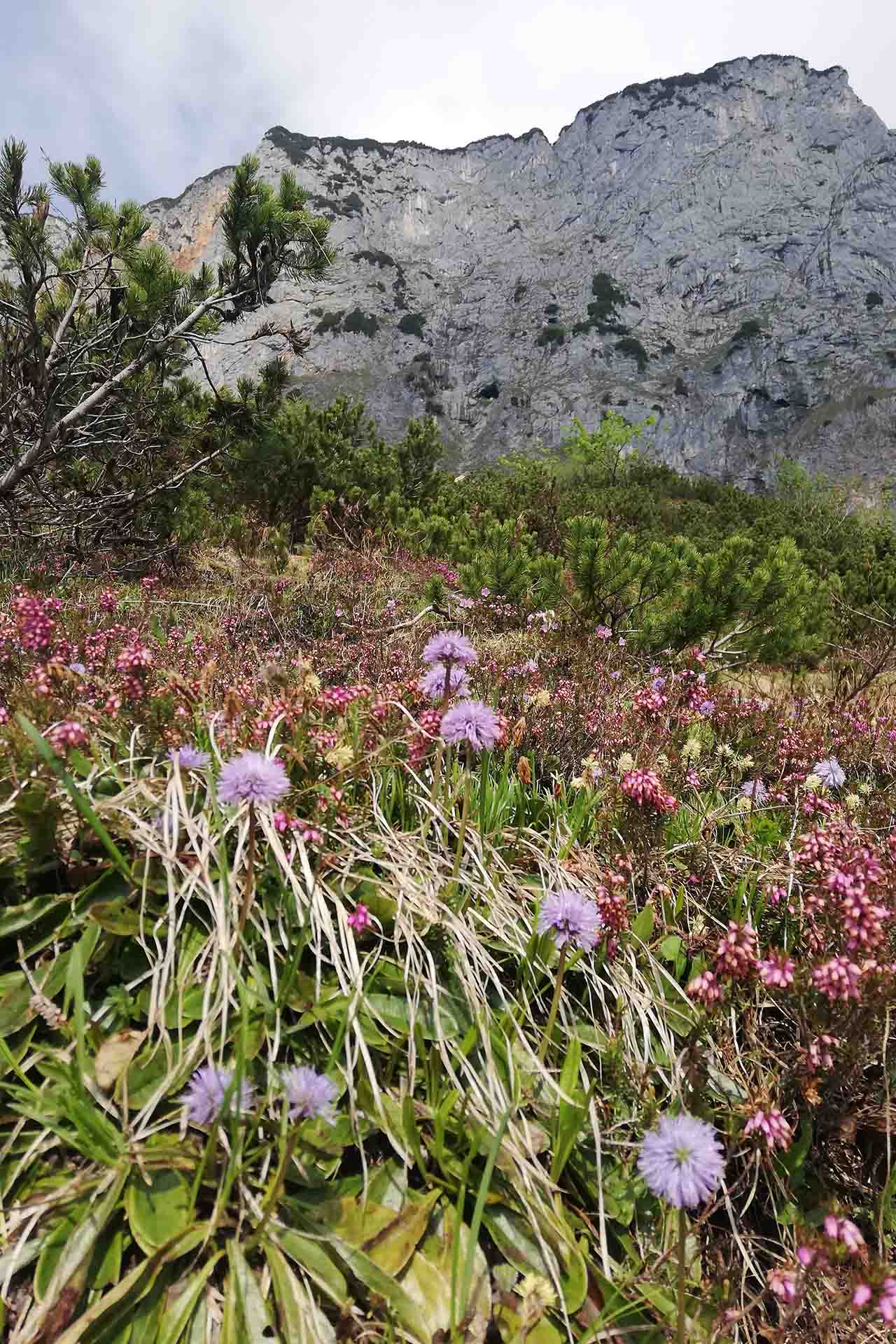 Rund um die Schellenberger Eishöhle