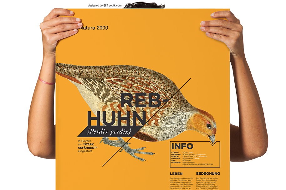 Frau hält ein Plakat mit Informationen über das Rebhuhn.