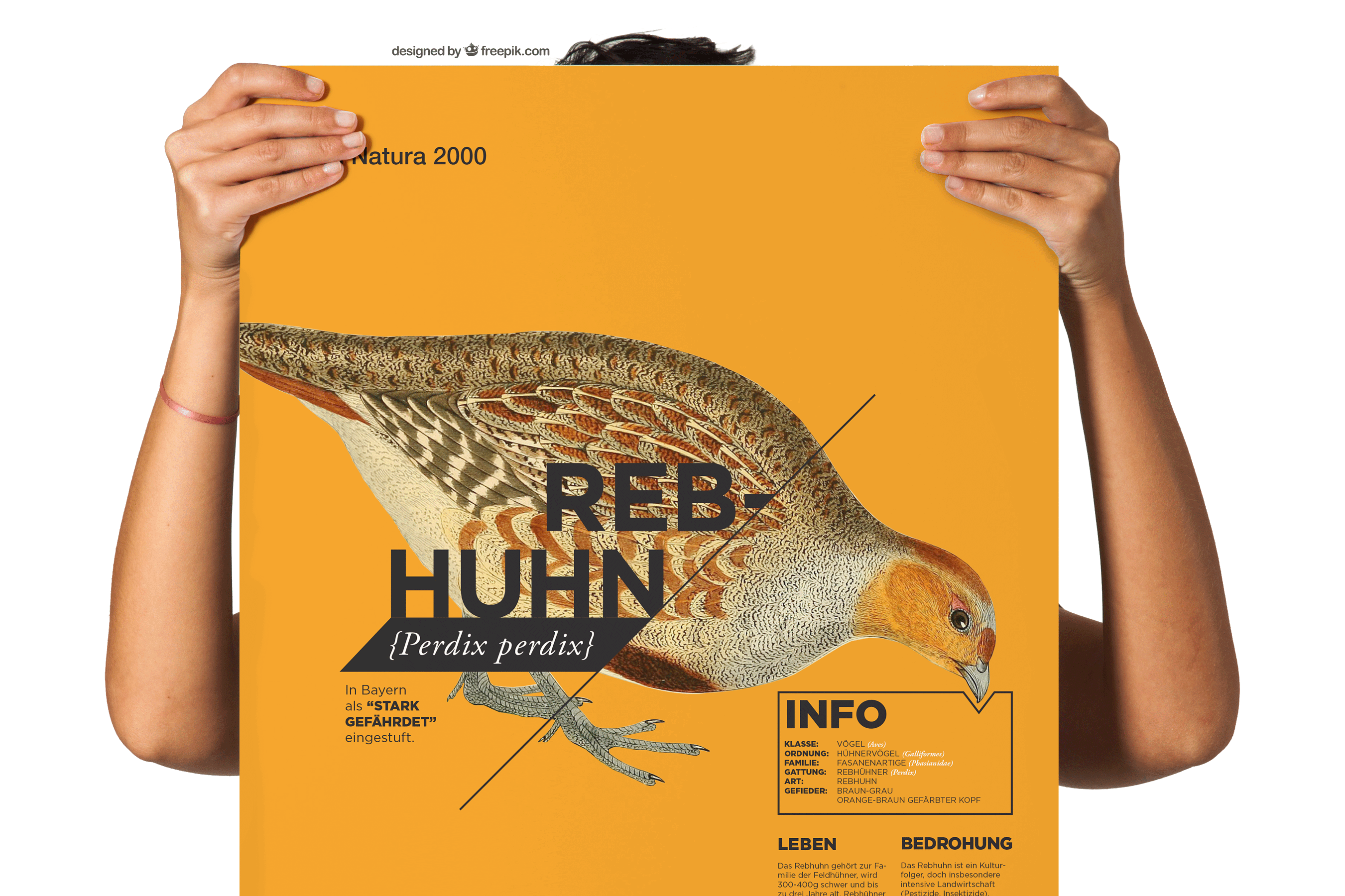 Frau hält ein Plakat mit Informationen über das Rebhuhn.