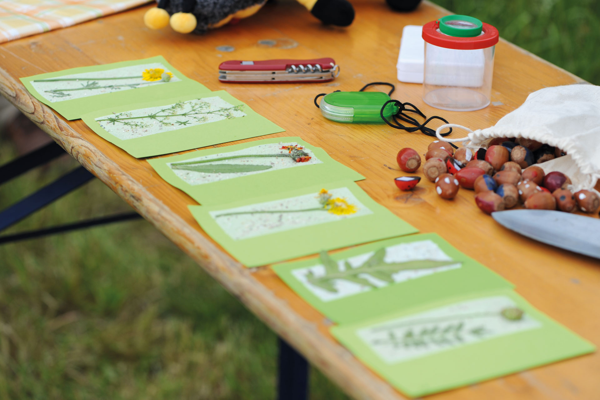 LIFE living Natura 2000 vor Ort in Schwaben