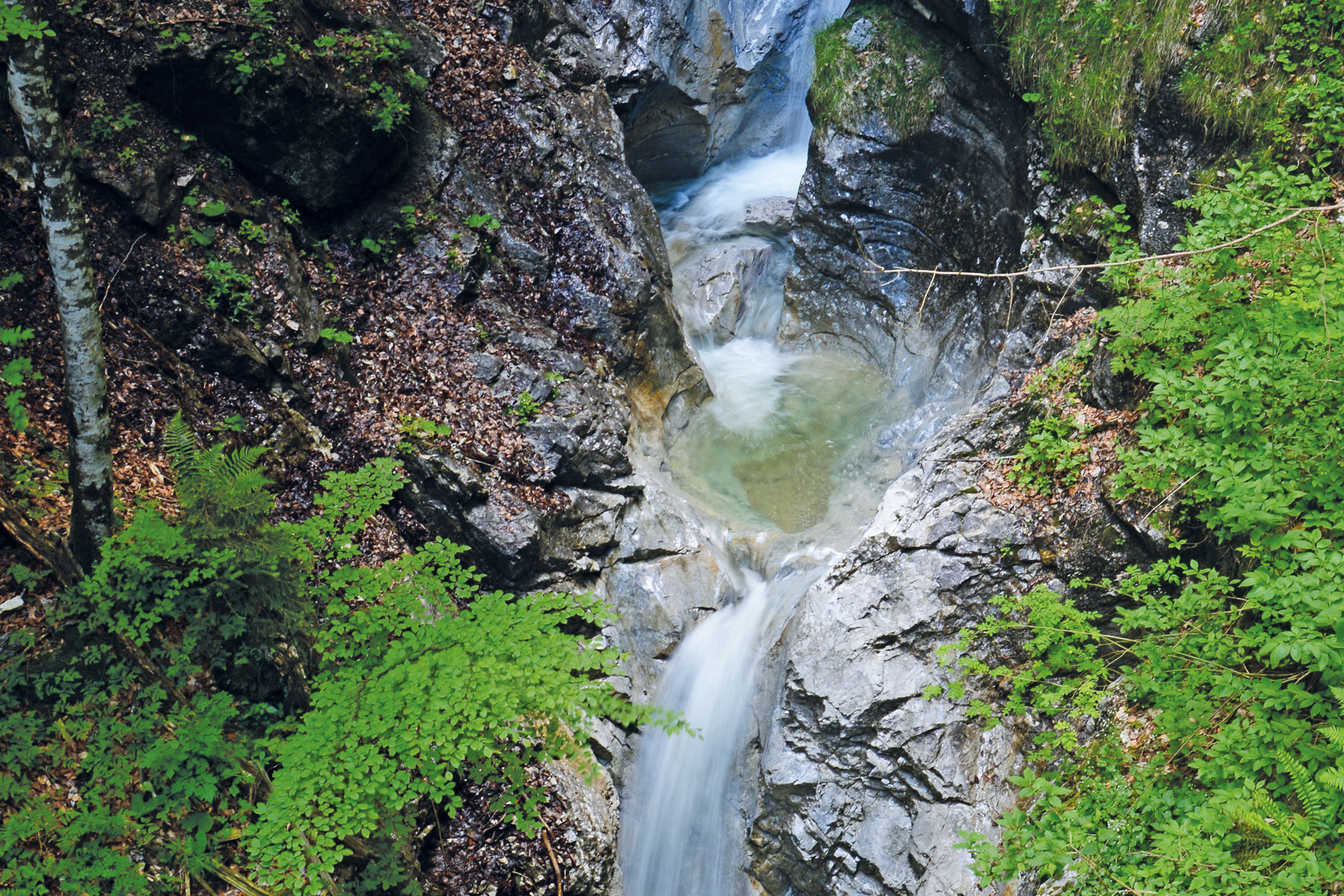 Ein Wasserfall mit Moos