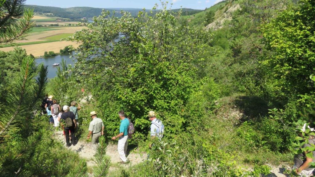Eine Gruppe von Menschen folgt einem schmalen Wanderweg durch eine mit Büschen bestandene Landschaft. Im Hintergrund sind ein Fluss und Felder zu sehen.