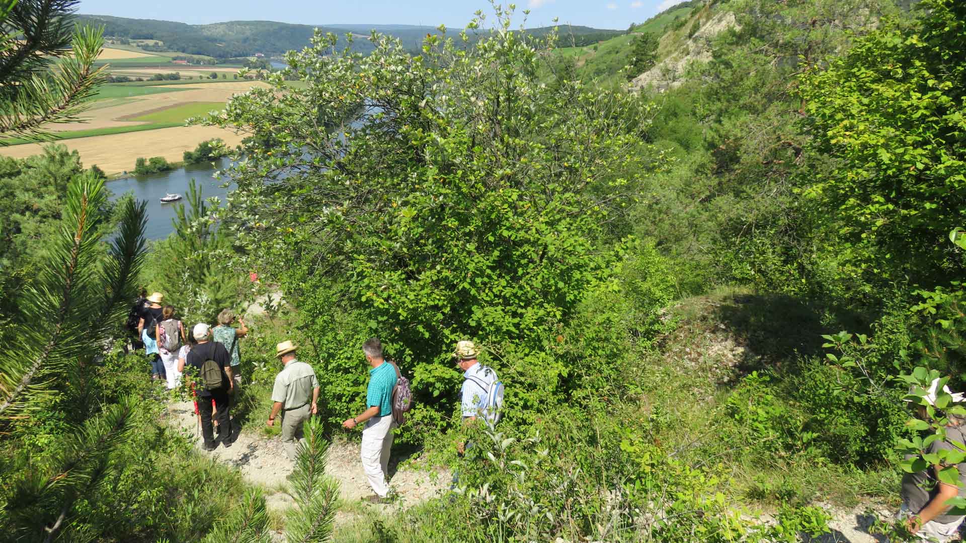 LIFE living Natura 2000 vor Ort in Unterfranken