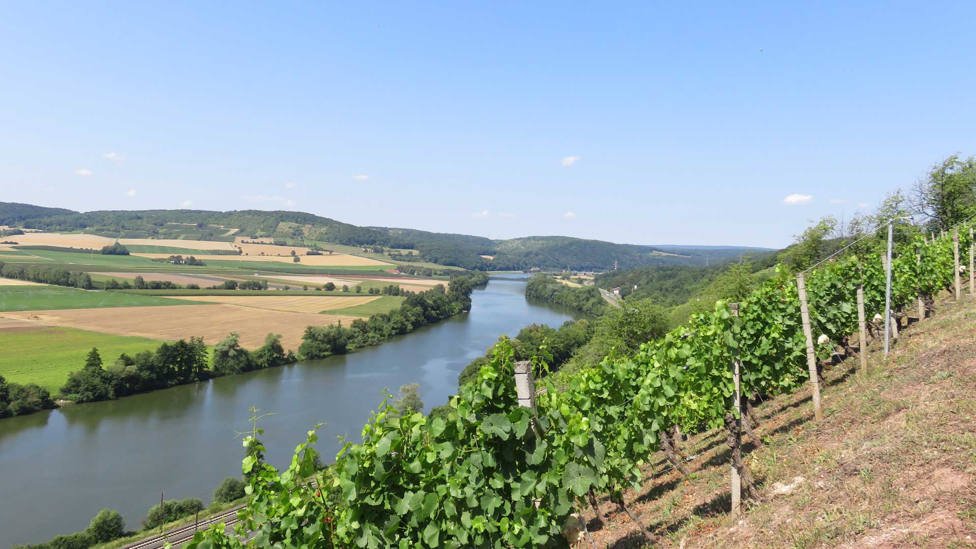 Weinberge am Grainberg-Kalbenstein.