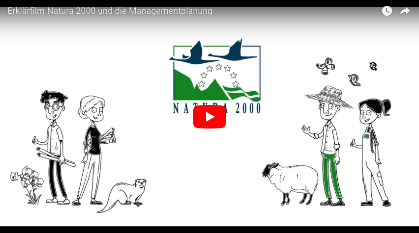 Illustration of 4 people, a sheep and a beaver linking to a YouTube Video explaining Natura 2000 (DE).