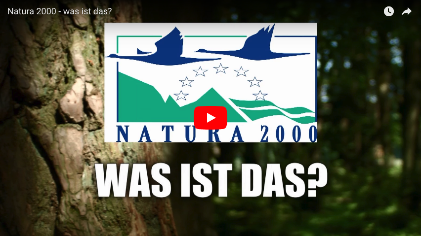 Picture of the Natura 2000 Logo in front of a forest backdrop linking to a YouTube video explaining Natura 2000 (DE).