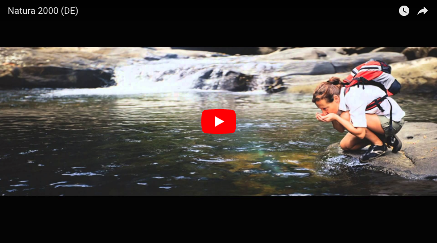 Picture of a woman drinking from a river. Picture links to YouTube-Video.