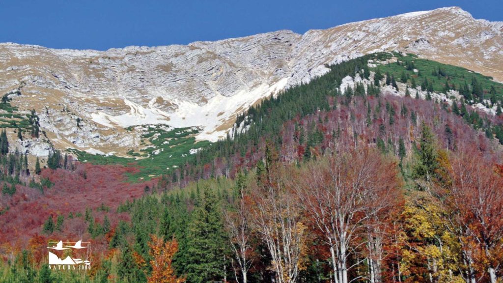 Berge in einer Herbstlandschaft.