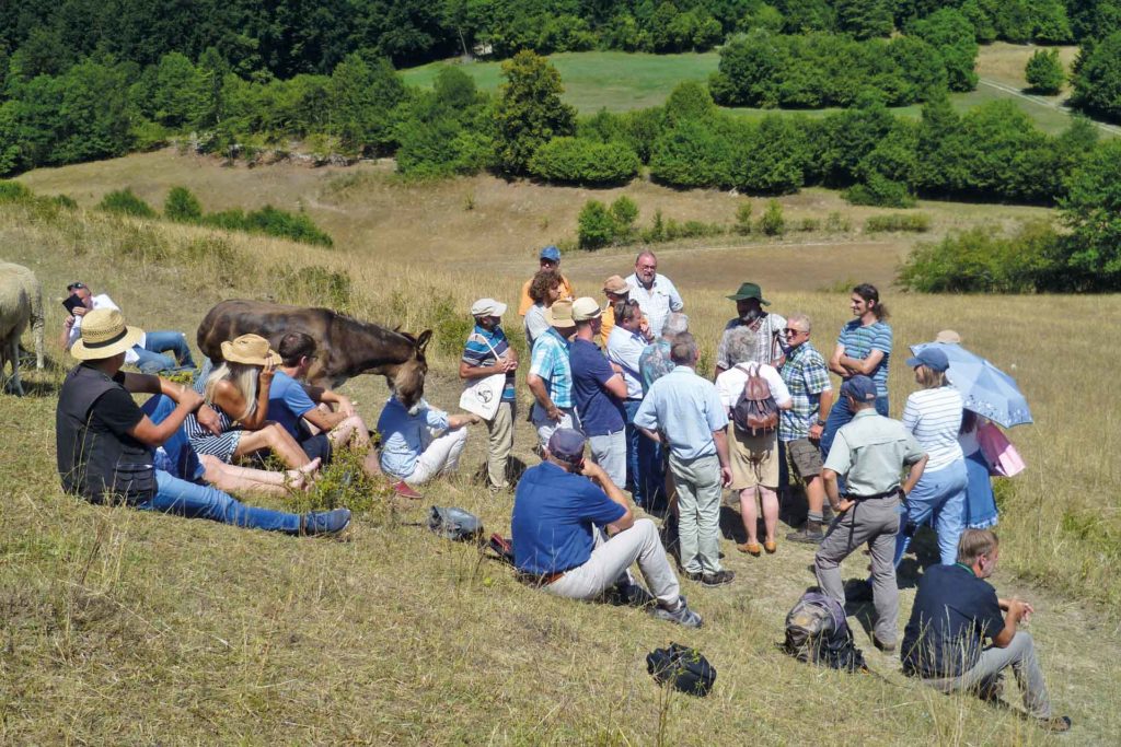 Exkursion in Oberfranken. Wandersleute mit Esel sitzen auf einem Hügel.