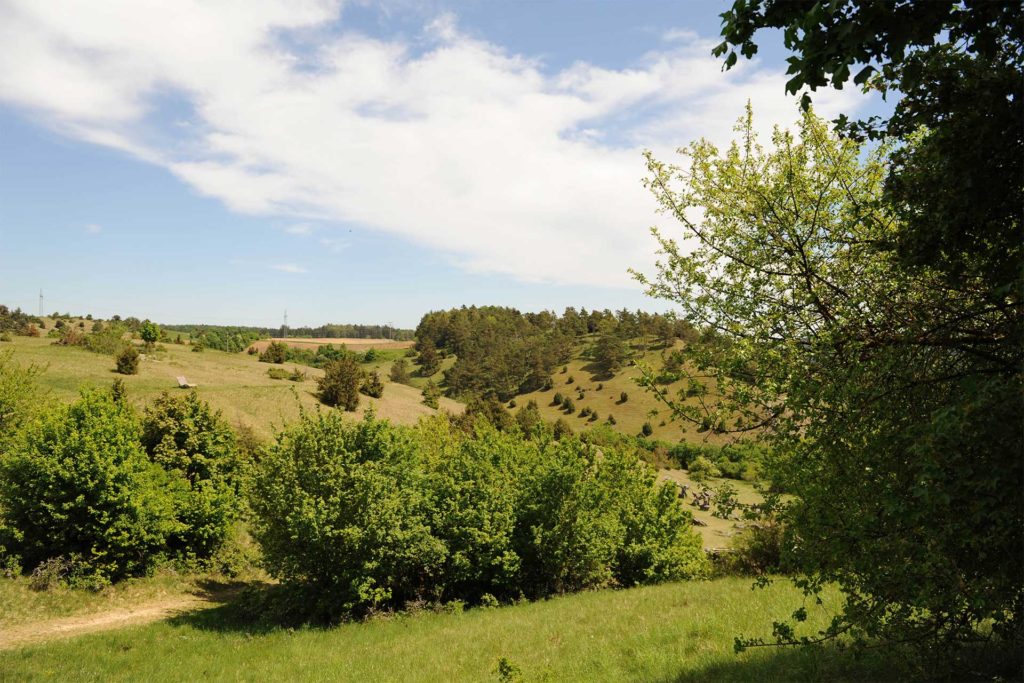 Ein Blick auf die Natur. Panorama Bild von Bayern mit blauem Himmel und grünen Wiesen.