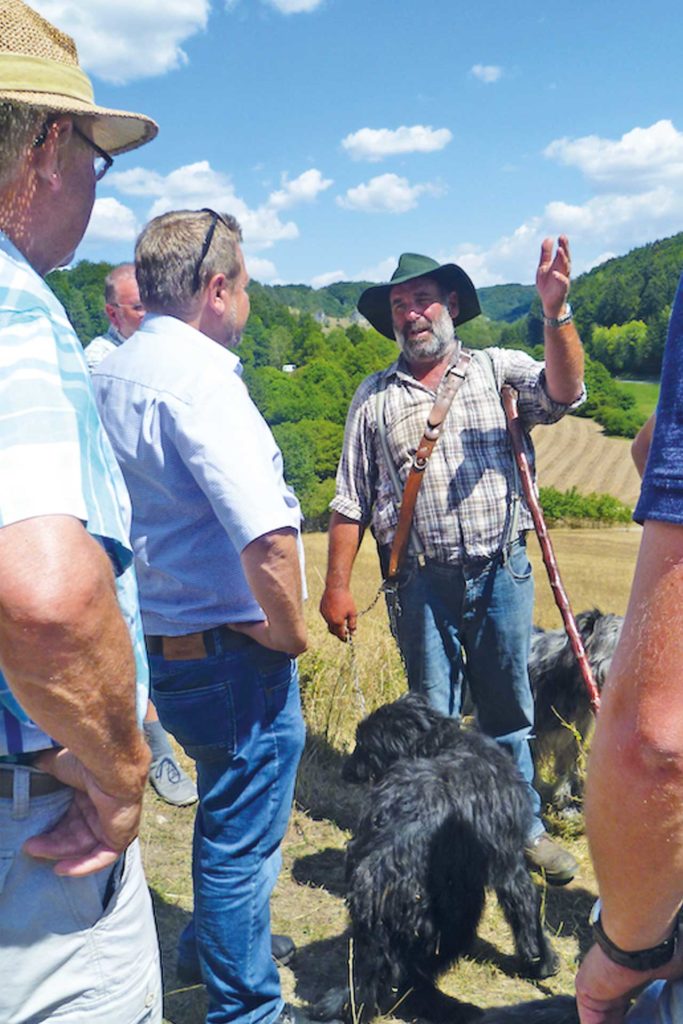 Wanderschäfer und seine Hunde pflege die Trockenrasen in Oberfranken.