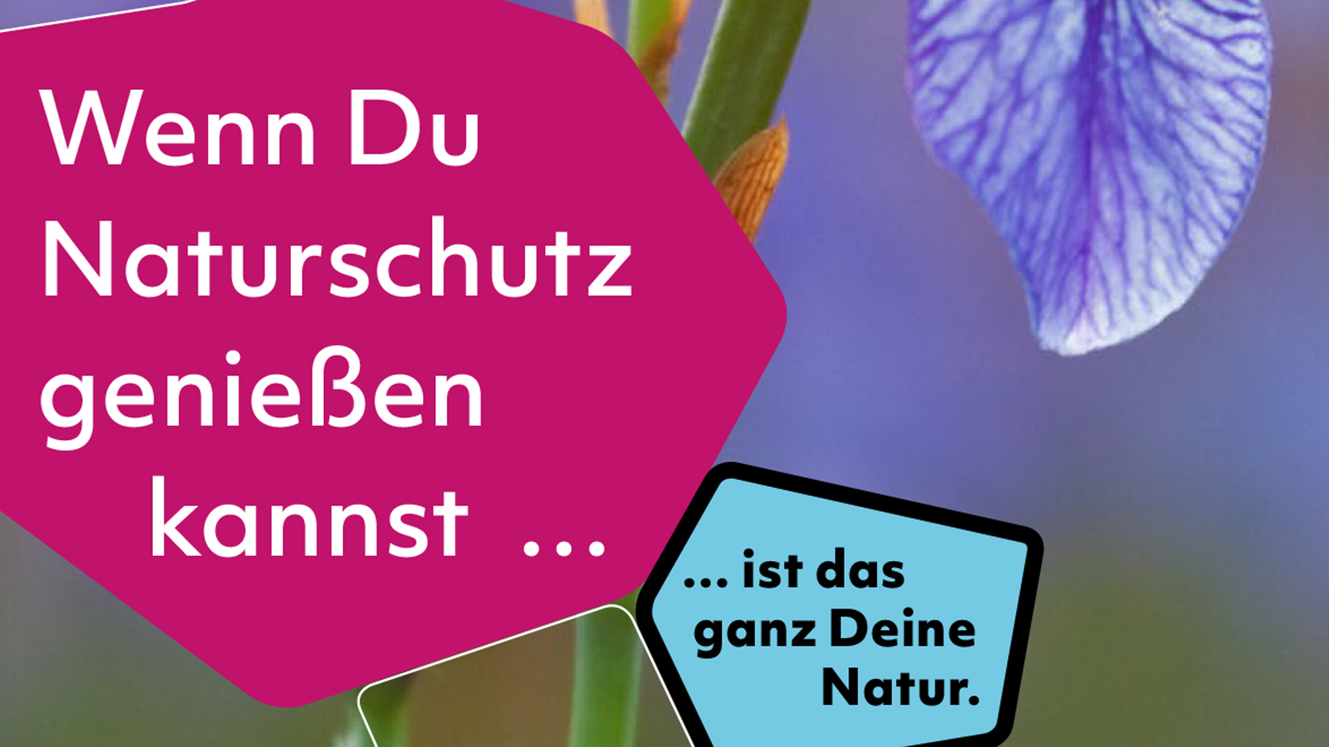 Auf dem Bild sind zwei Kacheln zu sehen mit dem Text: Wenn du Naturschutz genießen kannst... ist das ganz Deine Natur.