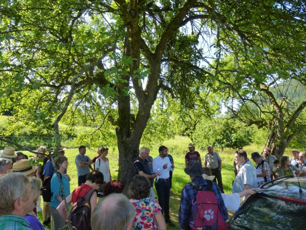Exkursion mit vielen Menschen, verteilt im Schatten eines Baumes, einem Referenten zuhörend.