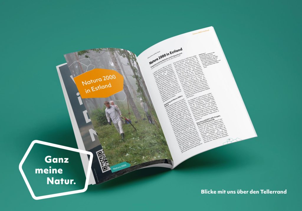 Artikelseite des Magazins "Blick über den Tellerrand"