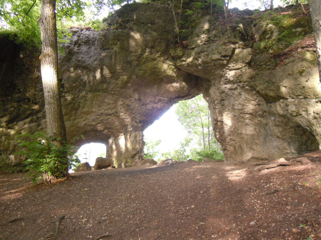 Der Hohle Fels: ein sich langziehender Fels im Wald mit zwei größeren Durchbrüchen, durch die Sonnenlicht fällt.