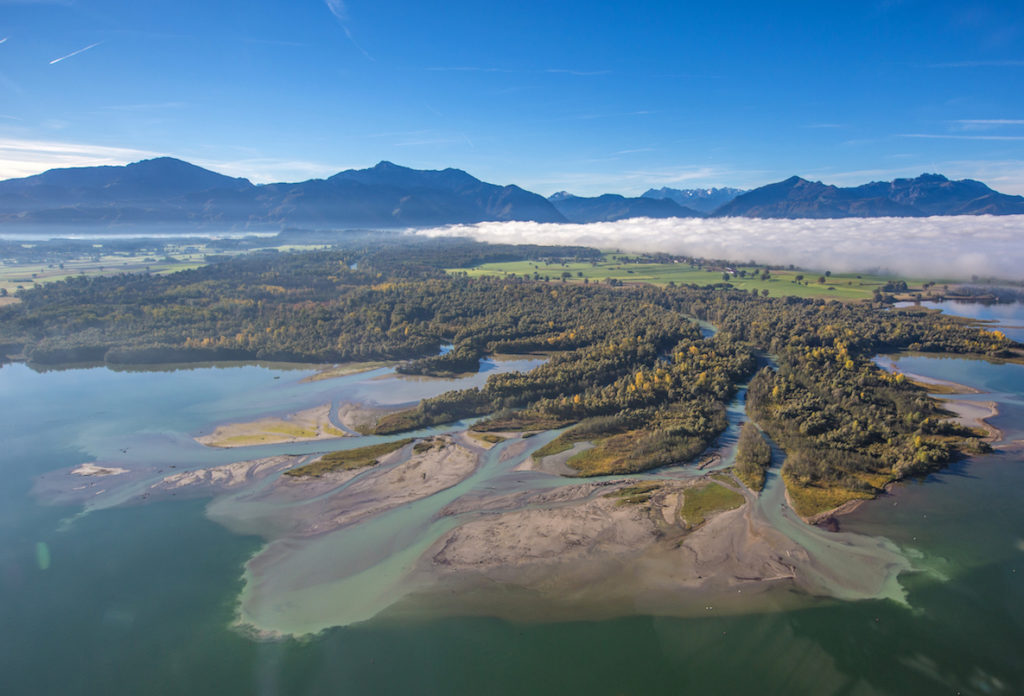 Die Mündung des Flusses Tiroler Achen in den Chiemsee. Der Fluss teilt sich in viele kleine Flüsse auf, die nebeneinander durch einen Wald in den See fließen. Im Hintergrund sieht man das Bergpanorama der Chiemgauer Alpen.