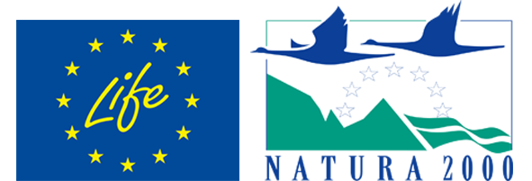 Natura 2000 – Ganz deine Natur
