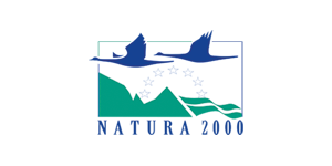 Logo Natura 2000: Stilisierte grüne Berge, darüber ein Halbkreis aus Sternen uind zwei dunkelblaue Schwäne im Flug. Darunter die Aufschrift: Natura 2000.