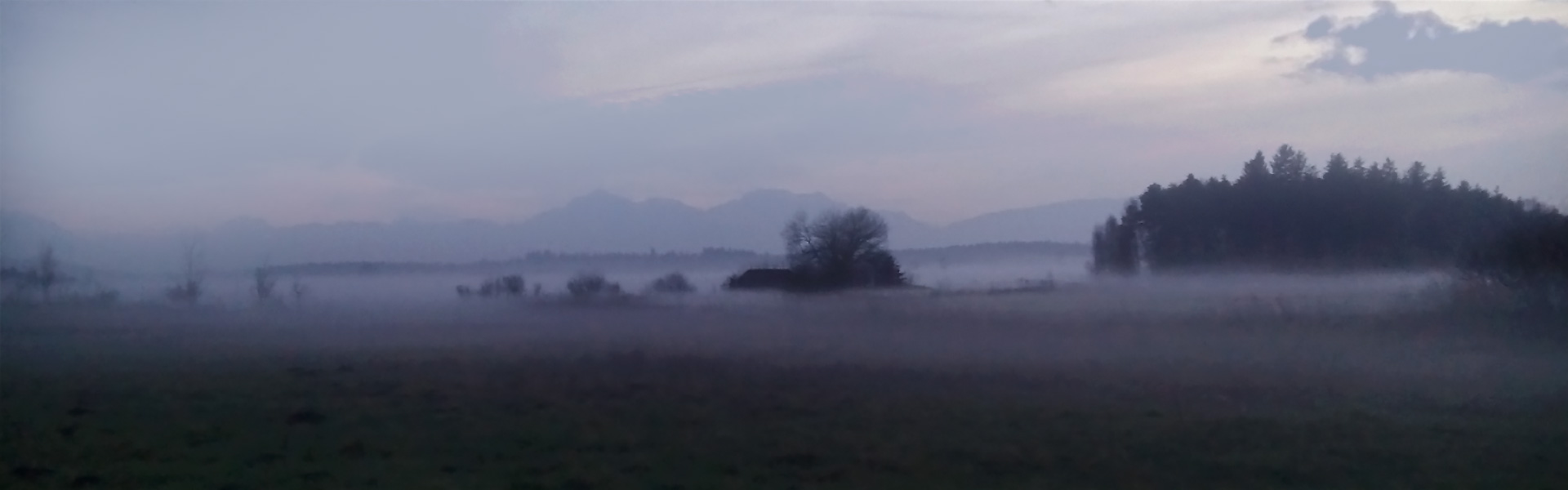 Moorlandschaft im Abendnebel, im Hintergrund Wald und Berge.