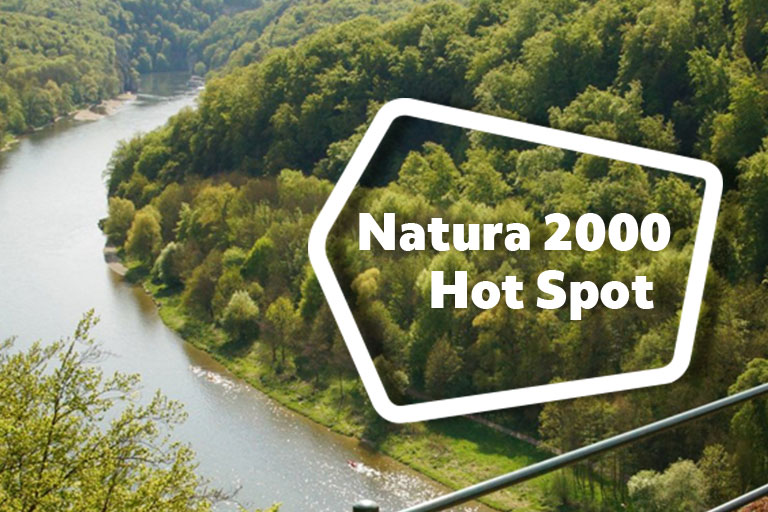 Ein Fluss mit Auwald zu beiden Seiten,. darüber die Aufschrift Natura 2000 Hot Spot