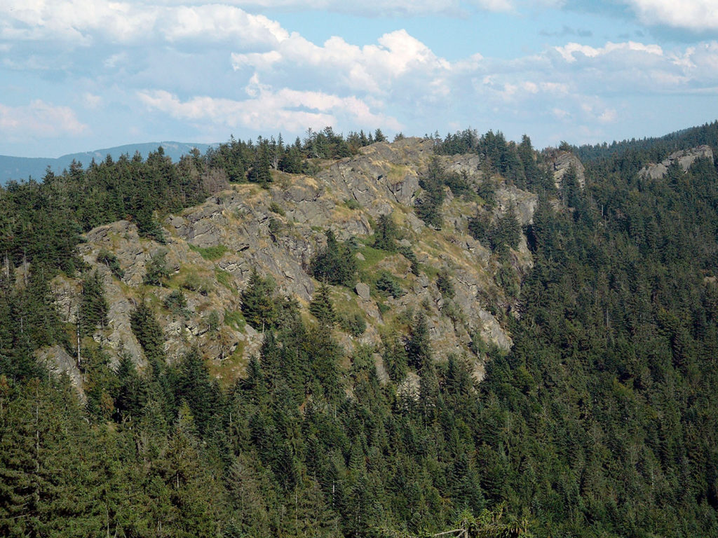 Ein unbewaldeter Höhenrücken befindet sich in der Bildmitte, der von dichtem Nadelwald umgeben ist.