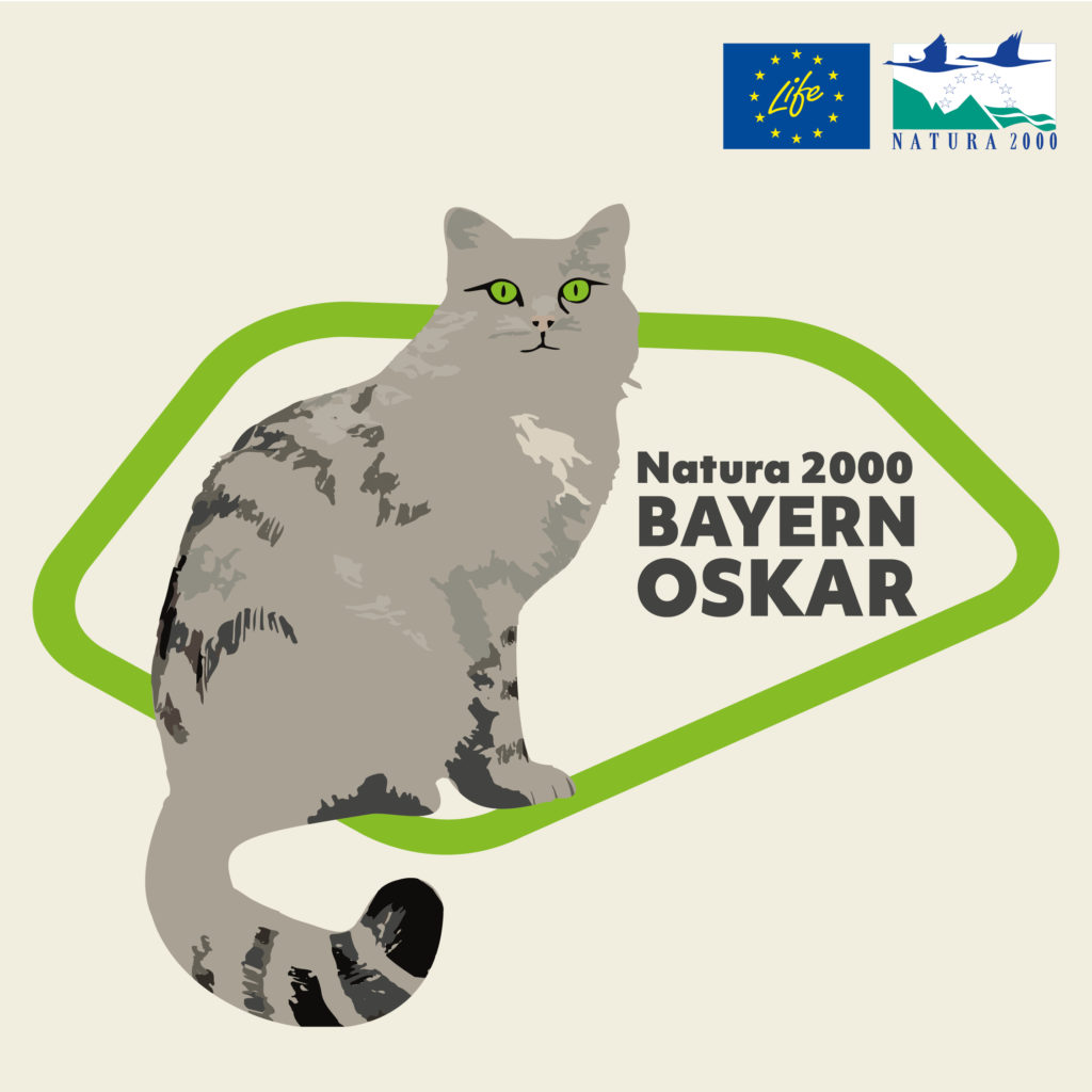 Symbolbild zur Bewerbung des Natura 2000-BayernOskars 2020